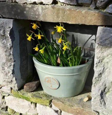 Ellenboro House And Self-catering Grange-over-Sands